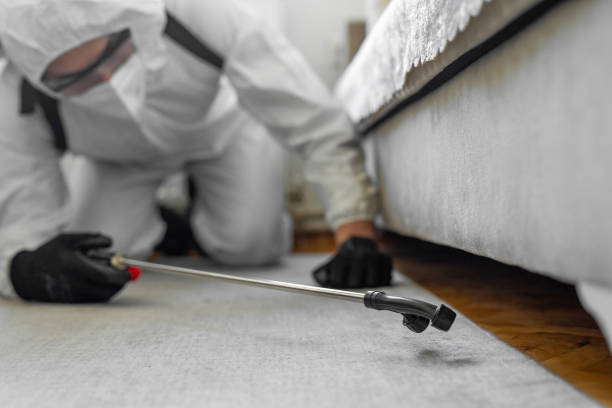 Professional Emergency Pest Control technician working in Lincoln Center, KS