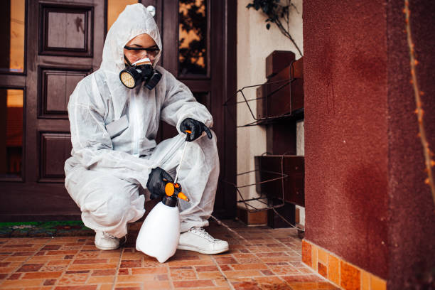 Reliable Emergency Pest Control contractor in Lincoln Center, KS by Nex Pest Control
