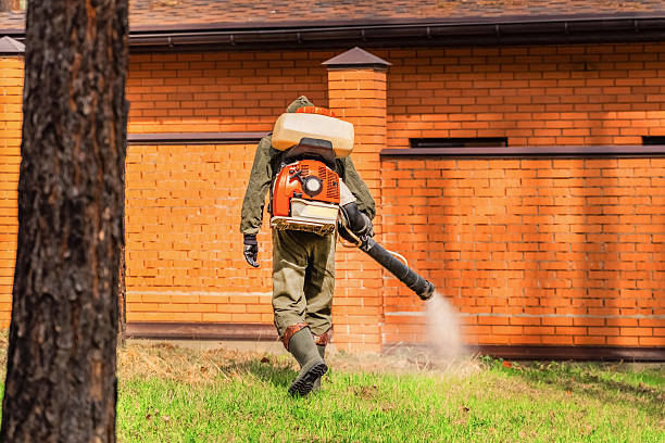 Trusted Emergency Pest Control service in Lincoln Center, KS - Nex Pest Control